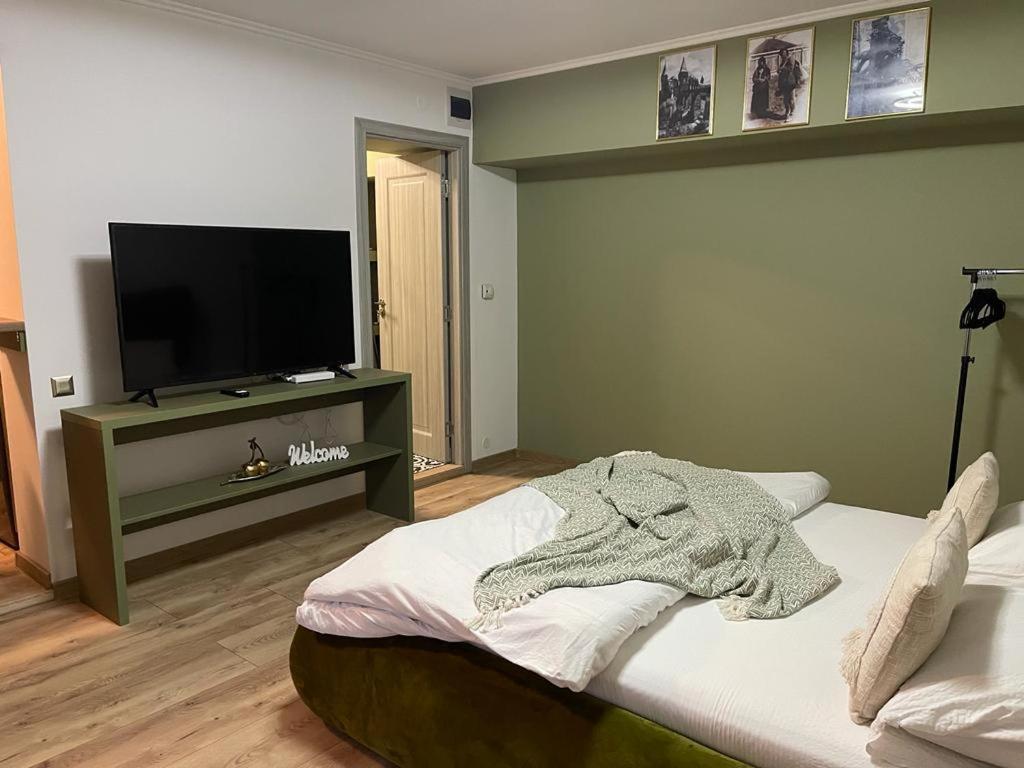 Appartement Magic Green Studio Hunedoara Extérieur photo